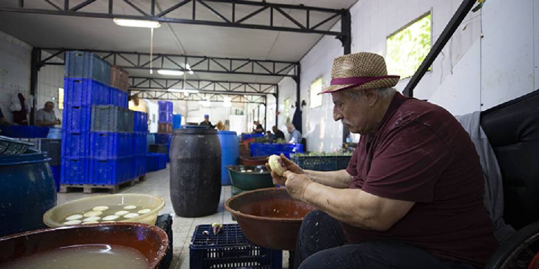 Enginarı robotlar soyamadı, Hüseyin abi ve ekibi devreye girdi! “Enginar soyma timi" ile 25 yıldır hizmet veriyor 1